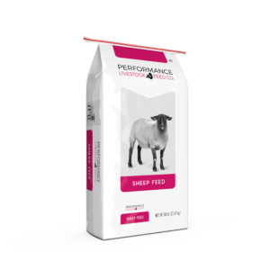 Performance 16 Lamb Start & Grow Bov